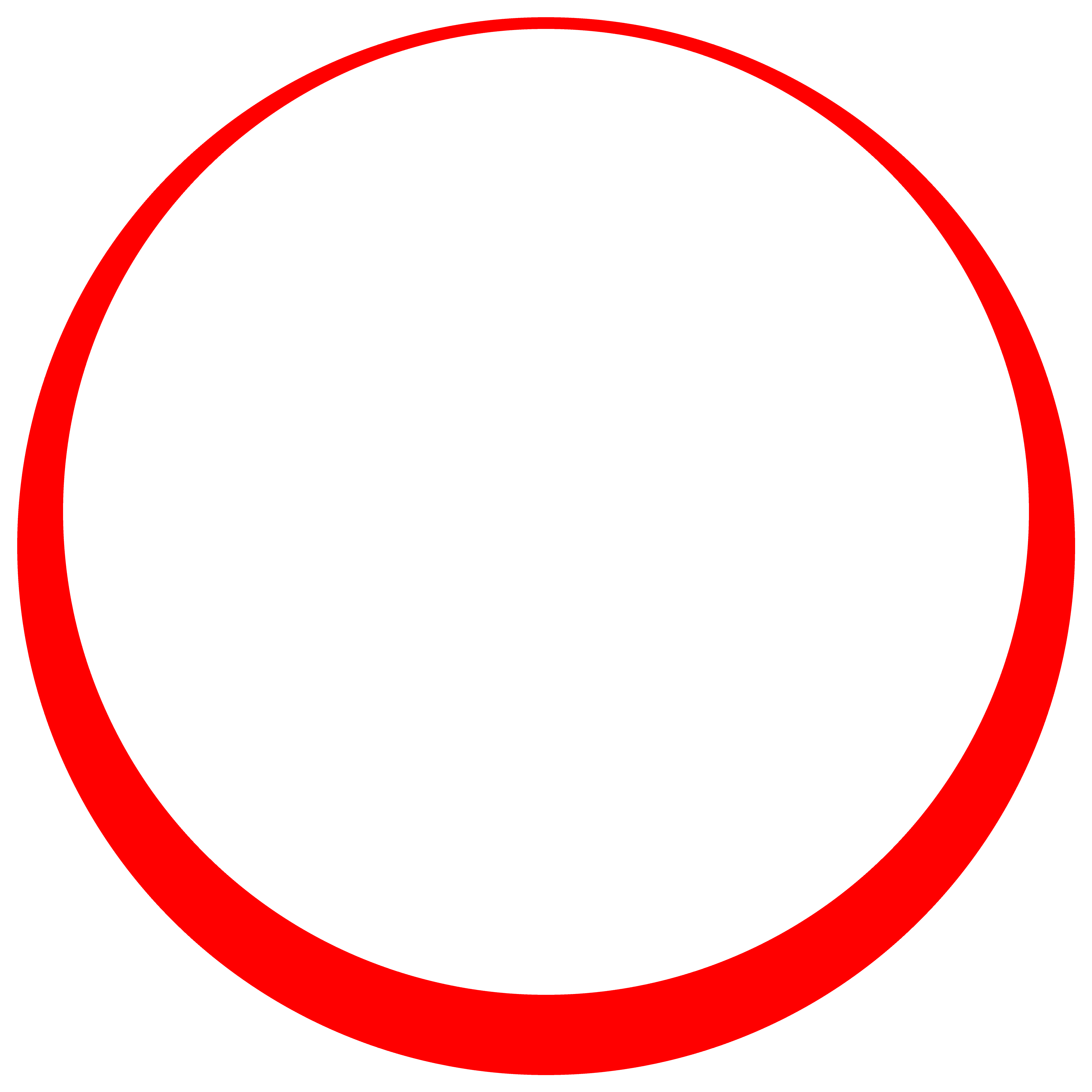 bigvision Logo